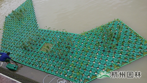 彩运网(中国游)官方网站