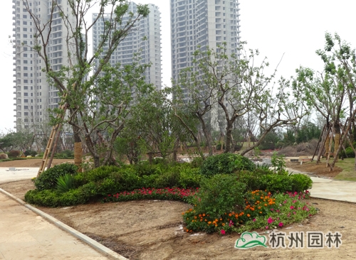 彩运网(中国游)官方网站