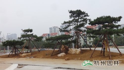 彩运网(中国游)官方网站