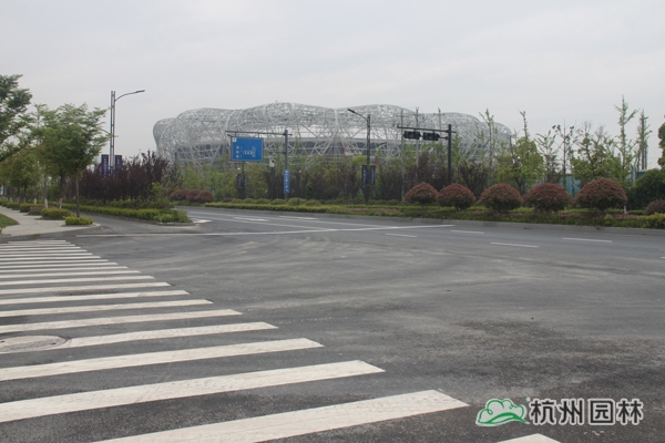 彩运网(中国游)官方网站