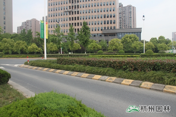 彩运网(中国游)官方网站