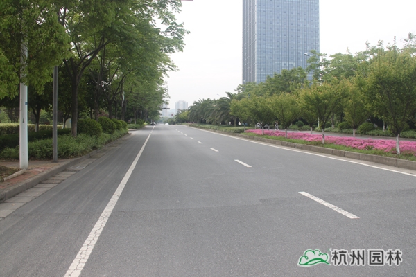 彩运网(中国游)官方网站