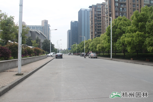 彩运网(中国游)官方网站