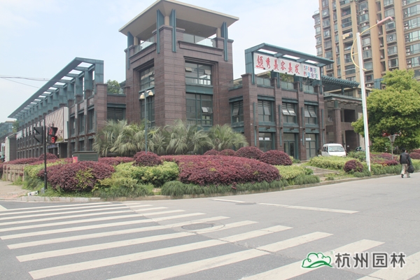 彩运网(中国游)官方网站