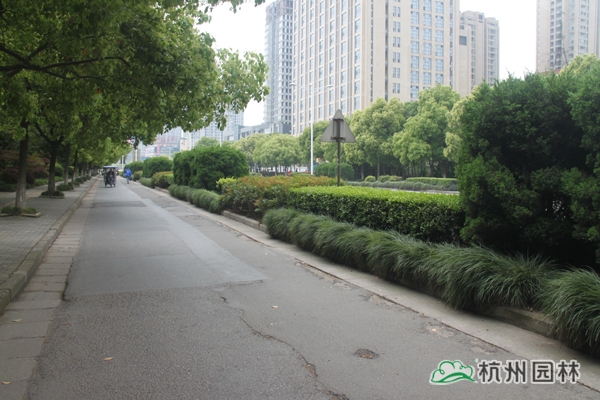 彩运网(中国游)官方网站