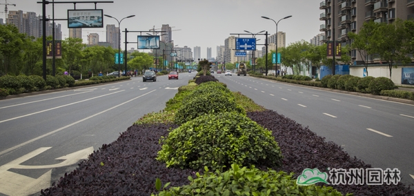 彩运网(中国游)官方网站