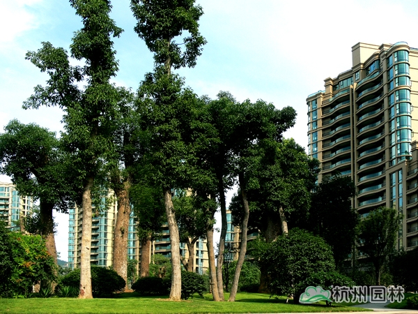 彩运网(中国游)官方网站