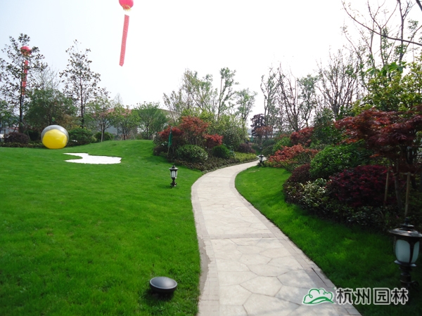 彩运网(中国游)官方网站