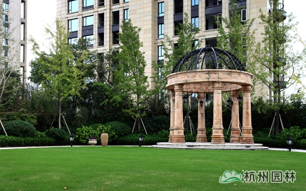 彩运网(中国游)官方网站