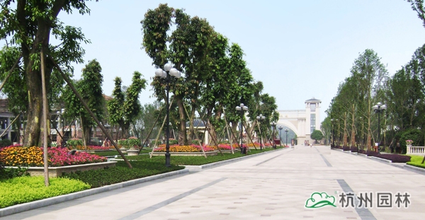 彩运网(中国游)官方网站