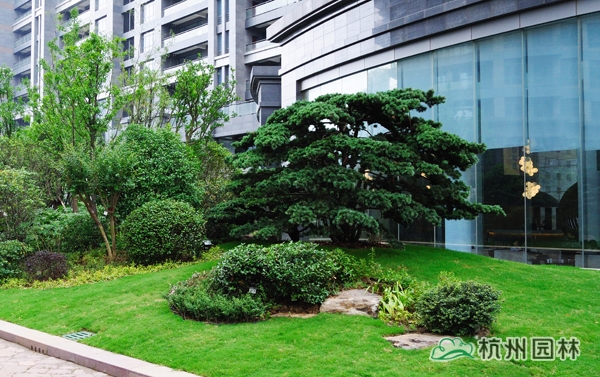 彩运网(中国游)官方网站