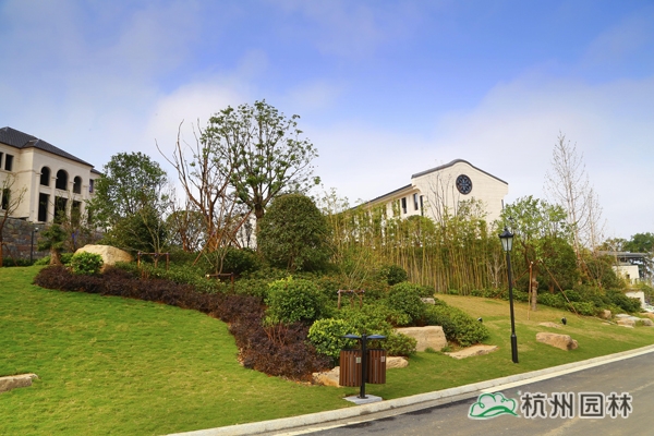 彩运网(中国游)官方网站