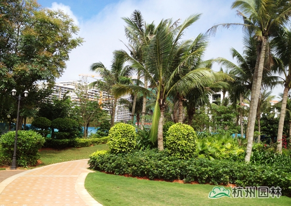 彩运网(中国游)官方网站