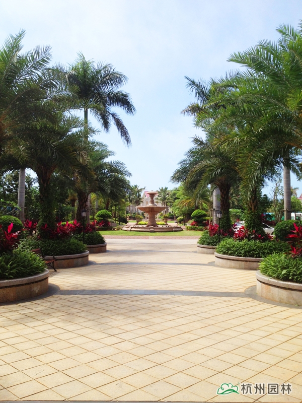 彩运网(中国游)官方网站