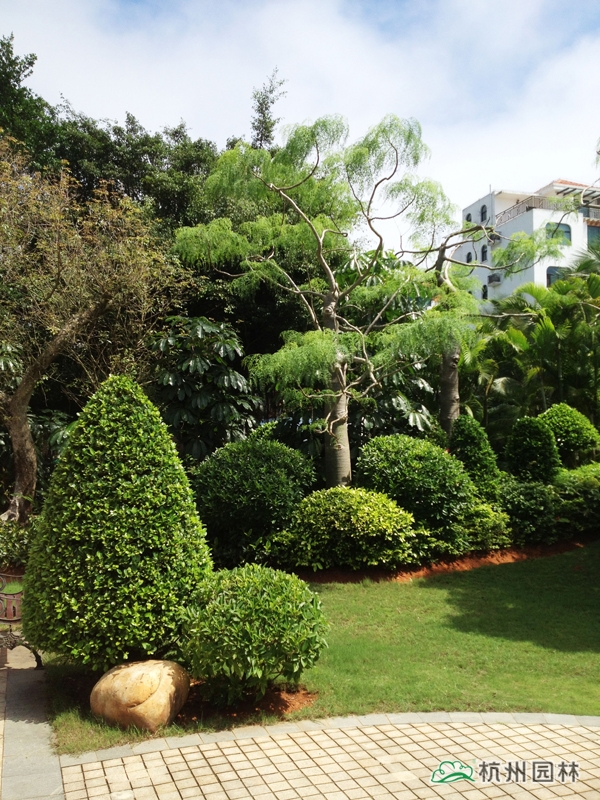 彩运网(中国游)官方网站