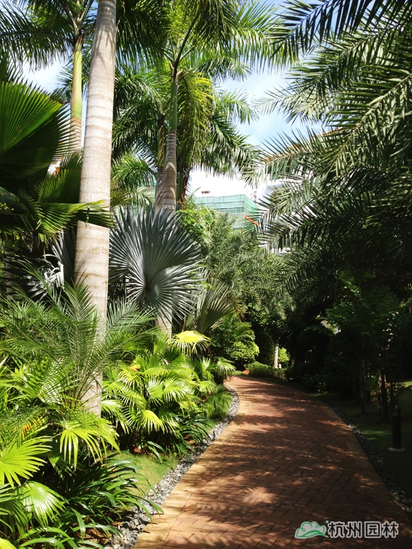 彩运网(中国游)官方网站