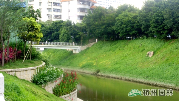 彩运网(中国游)官方网站