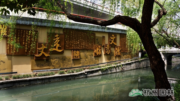 彩运网(中国游)官方网站