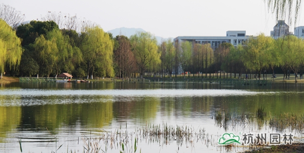 彩运网(中国游)官方网站