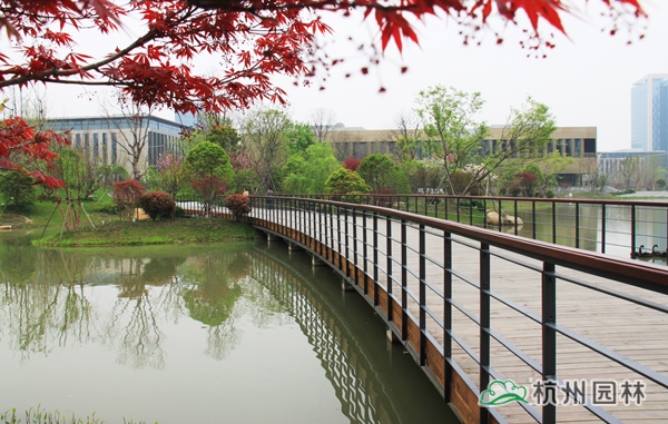 彩运网(中国游)官方网站