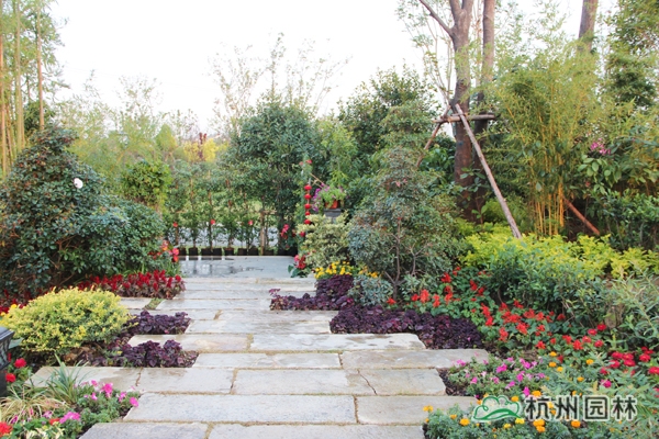 彩运网(中国游)官方网站