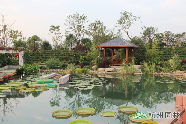 彩运网(中国游)官方网站