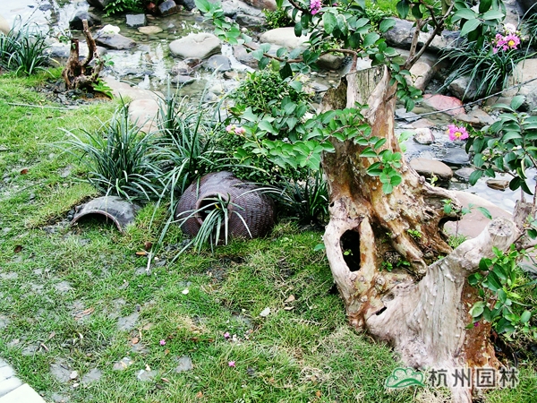 彩运网(中国游)官方网站