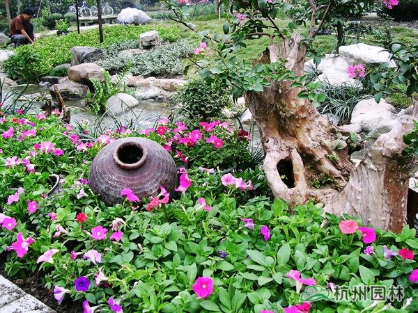 彩运网(中国游)官方网站