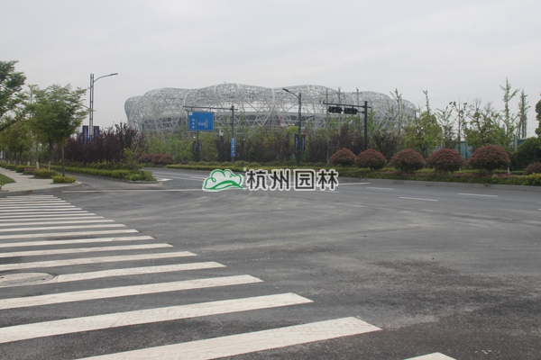 彩运网(中国游)官方网站