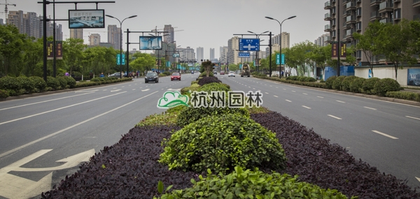 彩运网(中国游)官方网站