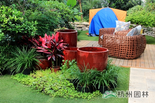 彩运网(中国游)官方网站