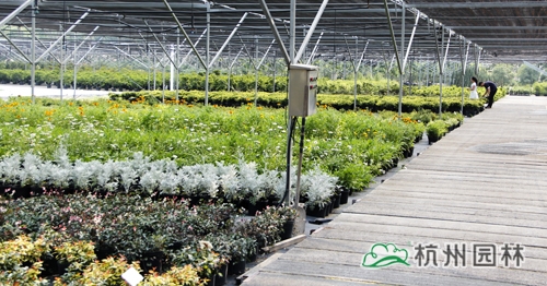 彩运网(中国游)官方网站