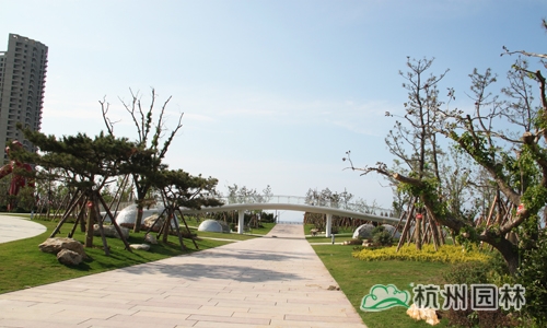 彩运网(中国游)官方网站