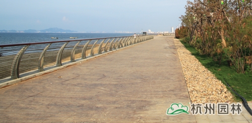 彩运网(中国游)官方网站