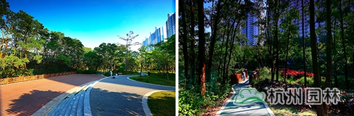 彩运网(中国游)官方网站