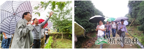 彩运网(中国游)官方网站