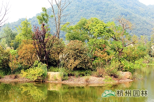 彩运网(中国游)官方网站