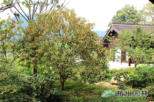 彩运网(中国游)官方网站