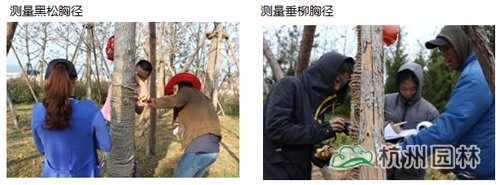 彩运网(中国游)官方网站