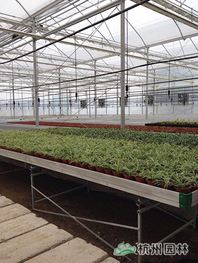 彩运网(中国游)官方网站