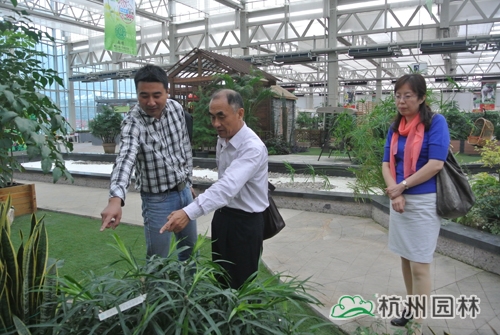 彩运网(中国游)官方网站