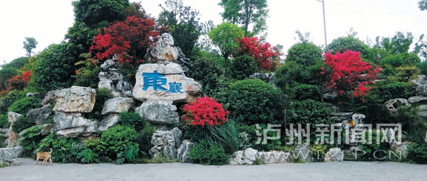 彩运网(中国游)官方网站