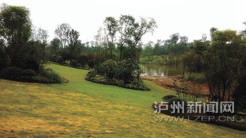 彩运网(中国游)官方网站