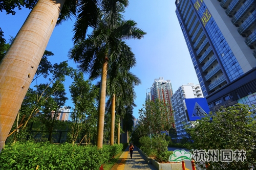 彩运网(中国游)官方网站