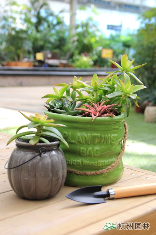 彩运网(中国游)官方网站