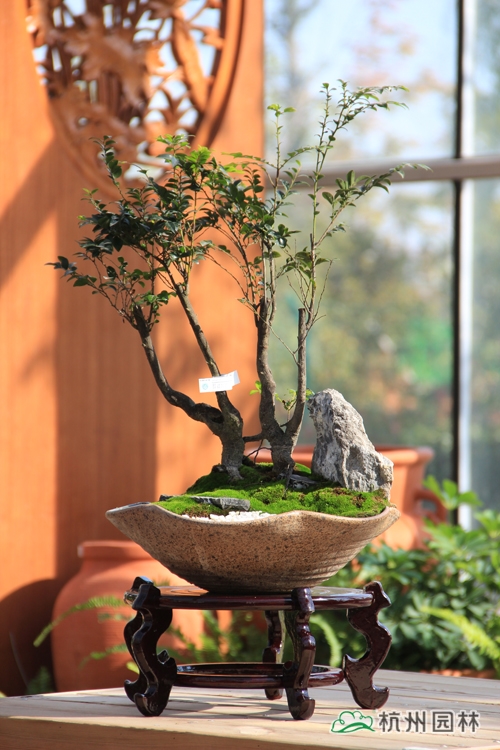 彩运网(中国游)官方网站