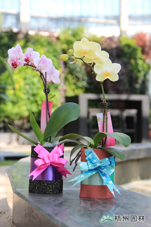 彩运网(中国游)官方网站