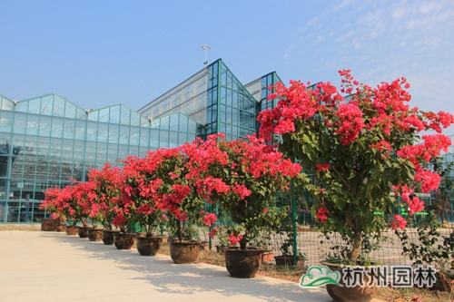 彩运网(中国游)官方网站