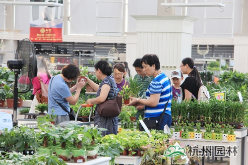 彩运网(中国游)官方网站