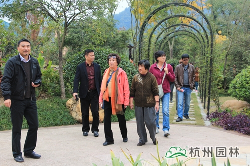 彩运网(中国游)官方网站